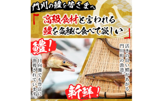 門川金鱧(計1.5kg)骨切り済 ハモ 小分け 冷凍 魚介類 鍋 丼 国産 宮崎県 門川町【O-1】【門川漁業協同組合】