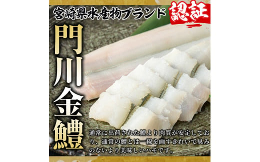 門川金鱧(計1.5kg)骨切り済 ハモ 小分け 冷凍 魚介類 鍋 丼 国産 宮崎県 門川町【O-1】【門川漁業協同組合】