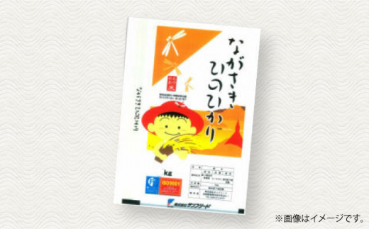 令和5年産 長崎ひのひかり 無洗米 10kg 長崎県/サンフリード [42AAAK002] ひのひかり 米 10kg おにぎり 長崎