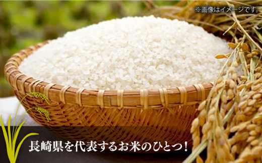 令和5年産 長崎ひのひかり 無洗米 10kg 長崎県/サンフリード [42AAAK002] ひのひかり 米 10kg おにぎり 長崎