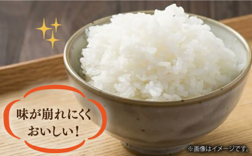 令和5年産 長崎ひのひかり 無洗米 10kg 長崎県/サンフリード [42AAAK002] ひのひかり 米 10kg おにぎり 長崎