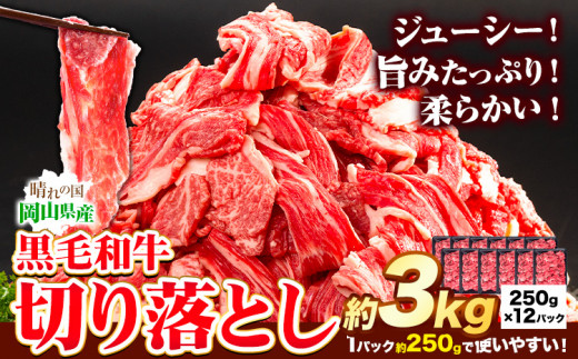 牛肉 黒毛和牛 切り落とし 3kg 《30日以内に出荷予定(土日祝除く)》 岡山県 矢掛町 牛 牛肉 和牛 牛丼 カレー 小分け 小分けパック 250g 送料無料