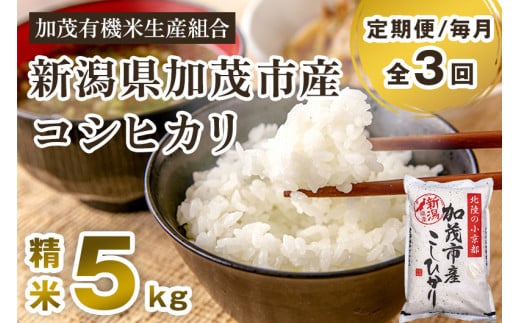 【令和6年産新米先行予約】【定期便3回毎月お届け】新潟県加茂市産コシヒカリ 精米5kg 白米 加茂有機米生産組合 定期便