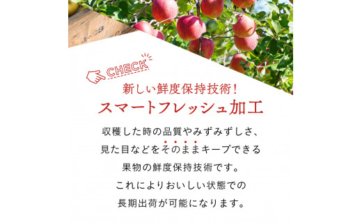 【訳あり】りんご 3kg 9〜11玉 サンふじ 数量限定 期間限定 家庭用 リンゴ 林檎 フルーツ 果物 スマートフレッシュ 金ケ崎町産 岩手県