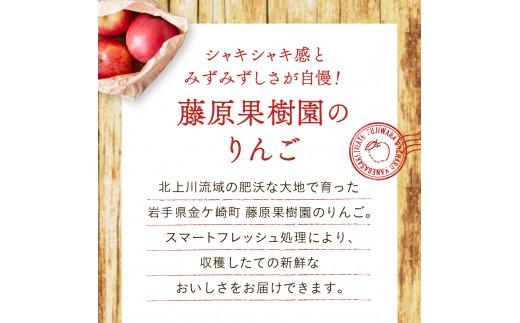 【訳あり】りんご 3kg 9〜11玉 サンふじ 数量限定 期間限定 家庭用 リンゴ 林檎 フルーツ 果物 スマートフレッシュ 金ケ崎町産 岩手県