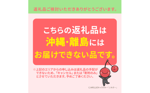 北海道 仁木町産 厳選品 サクランボ 佐藤錦  300g Lサイズ以上  松山商店