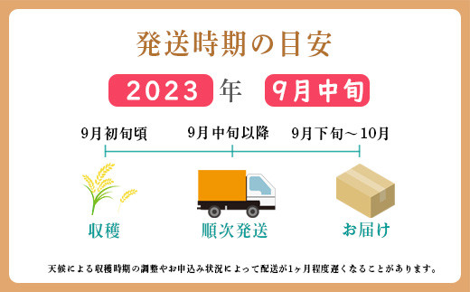 【先行受付】2024年産(令和6年産)玄米 「きりしまのゆめ」夏の笑み10kg 霧島湧水が育む減農薬栽培のお米（特別栽培米・真空チャック式） TF0627-P00026