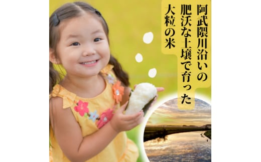 ＜先行受付＞令和6年産　こしひかり(矢吹町三神地区産)5kg【1376955】