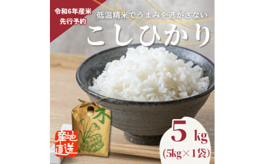 ＜先行受付＞令和6年産　こしひかり(矢吹町三神地区産)5kg【1376955】