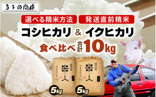 【令和6年産・新米】コシヒカリ ＆ イクヒカリ 食べくらべ  【5分づき】 計10kg （5kg × 2袋）セット[m25-b002_04]