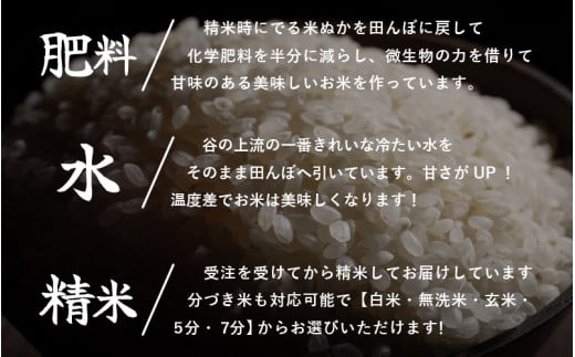 【令和6年産・新米】コシヒカリ ＆ イクヒカリ 食べくらべ  【5分づき】 計10kg （5kg × 2袋）セット[m25-b002_04]