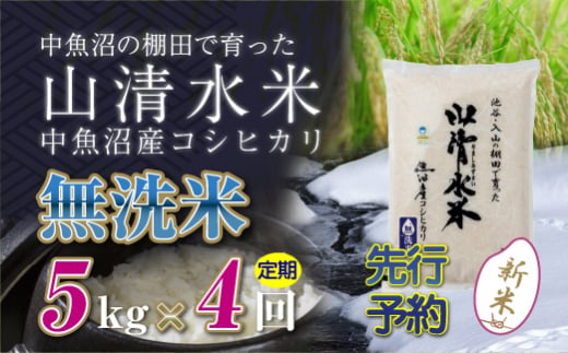 【新米先行受付】【定期便／全4回】無洗米5kg　新潟県魚沼産コシヒカリ「山清水米」