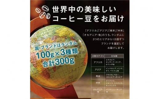 焙煎士お任せ100g×3種類セット[粉]  受注自家焙煎 珈琲粉 コーヒー粉