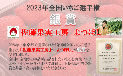 《2025年産先行予約》「西脇市産 旬のいちご３品種食べ比べセット」（1箱３パック）【佐藤果実工房 全国いちご選手権銀賞受賞農園 TVで紹介!】令和７年３月下旬配送分（09-38）