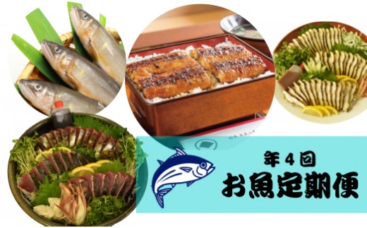 年4回【さかわのお魚定期便】うなぎ、カツオ、鮎、うつぼ