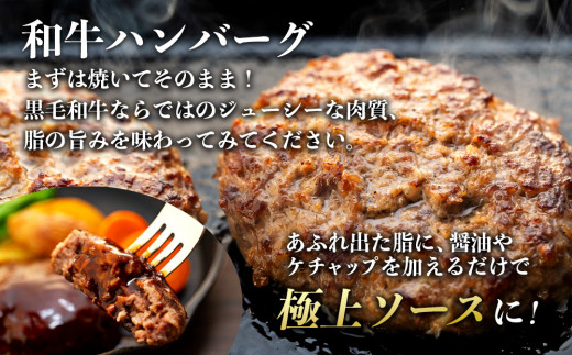 天龍牛味わいセットA ハンバーグ フランク ソーセージ 天龍牛 黒毛和牛 長野県産 信州産 お肉 国産 希少 お酒のつまみ[№5675-1186]