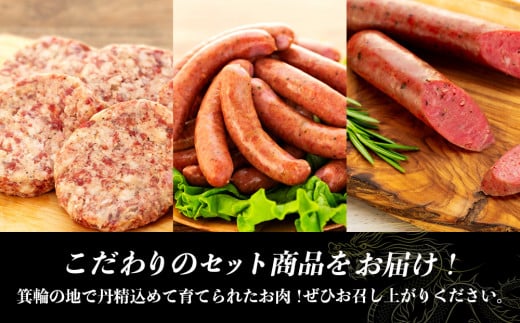 天龍牛味わいセットA ハンバーグ フランク ソーセージ 天龍牛 黒毛和牛 長野県産 信州産 お肉 国産 希少 お酒のつまみ[№5675-1186]