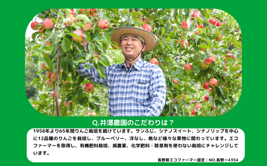 りんご シナノリップ 秀 ～ 特秀 3kg サイズおまかせ 井澤農園 沖縄県への配送不可 2024年8月中旬頃から2024年9月上旬頃まで順次発送予定 令和6年度収穫分 エコファーマー認定 減農薬栽培 化学肥料不使用 信州 果物 フルーツ リンゴ 林檎 長野 15500円 予約 農家直送 長野県 飯綱町 [0873]