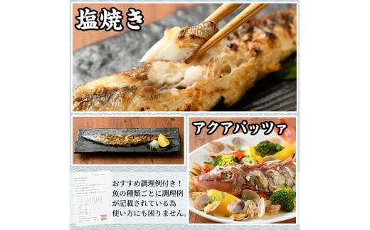 【0153201a】朝獲れ発送！鮮魚問屋が厳選した『鮮魚おためしBOX』(約2kg程度)魚 魚介類 鮮魚 海鮮 詰め合わせ セット 刺身 天ぷら 煮つけ 塩焼き【江川商店】