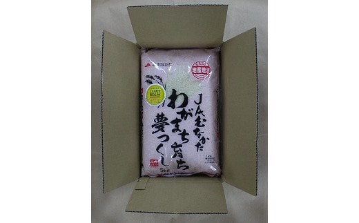 年6回偶数月★夢つくし10kg×6回 令和6年産【2月開始】[F5062a]