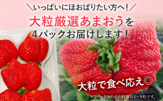 【2025年発送先行予約】厳選大粒あまおう(約280g x 4パック) お取り寄せグルメ お取り寄せ 福岡 お土産 九州 福岡土産 取り寄せ グルメ 福岡県