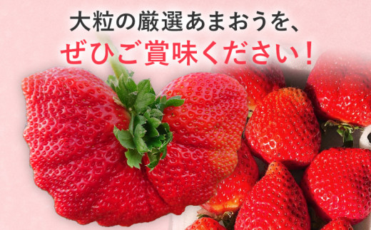 【2025年発送先行予約】厳選大粒あまおう(約280g x 4パック) お取り寄せグルメ お取り寄せ 福岡 お土産 九州 福岡土産 取り寄せ グルメ 福岡県