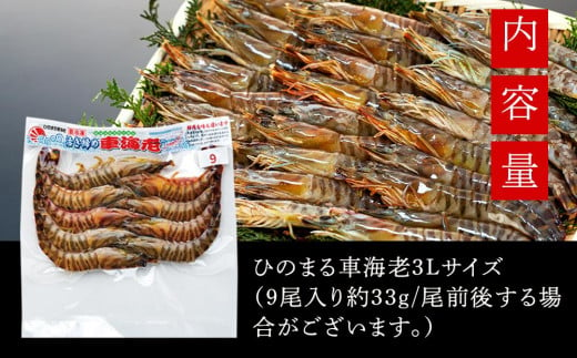 活き〆冷凍車海老　300g（3Lサイズ）9尾入り【エビ えび 海老 車海老 くるまえび クルマエビ 冷凍 活き 新鮮 急速冷凍 海産物 刺身 さしみ 天ぷら 塩焼 バーベキュー 国産 ギフト 真空パック 真空 養殖 九州産 鹿児島県 種子島 中種子町 ふるさと納税 送料無料 BF003】