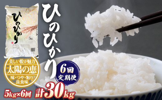 【定期便6回】ヒノヒカリ5kg×1袋