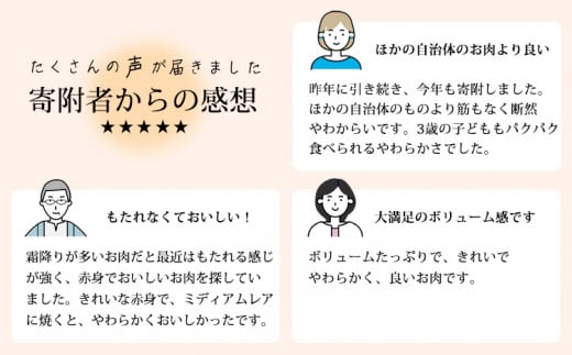 日本一美味しい「宮崎牛」の赤身肉ステーキ(400g) 内閣総理大臣賞4大会連続受賞のお肉 ブランド牛 黒毛和牛 ヘルシーな牛肉 [和牛 国産牛肉 黒毛和牛] TF0558-P00020