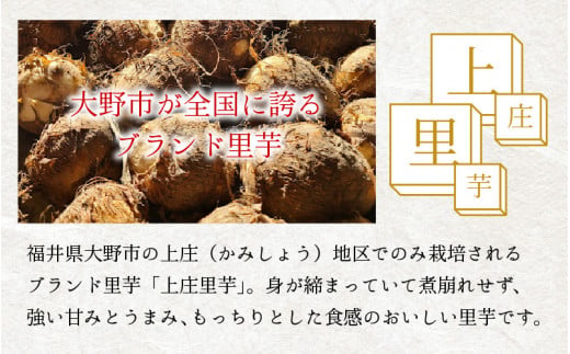 【先行予約】【12月発送】こだわりの特別栽培 上庄里芋5kg  化学肥料不使用・農薬50％以上カットの特別栽培里芋 農家直送