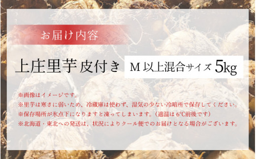 【先行予約】【12月発送】こだわりの特別栽培 上庄里芋5kg  化学肥料不使用・農薬50％以上カットの特別栽培里芋 農家直送