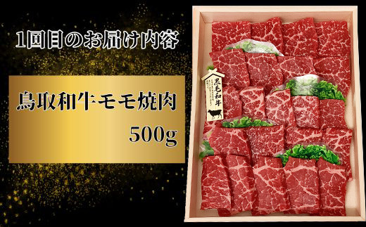 TT01：【3回定期便】鳥取和牛焼肉コース