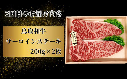 TT01：【3回定期便】鳥取和牛焼肉コース