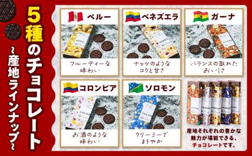 チョコレート 石挽きチョコレートセット Mセット計10品 石挽きカカオissai 《30日以内に出荷予定(土日祝除く)》岡山県 矢掛町 チョコレート チョコ カカオ 食べ比べ スイーツ おやつ