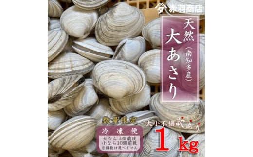 訳あり 南知多町産 活大あさり 約1kg 大なら4個前後 小なら10個前後 不揃い※個数は選べません