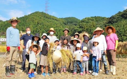 【令和6年新米・先行受付】ひのひかり ちぎり米 5kg【佐賀県産 米 コメ ヒノヒカリ 夢しずく 精米 白米】A6-C091001