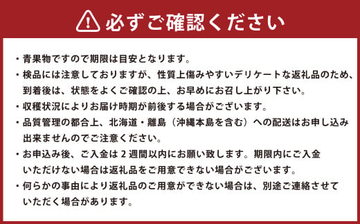 博多あまおう（冬） 2パック