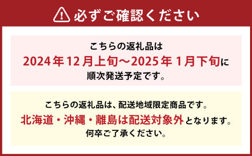 博多あまおう（冬） 2パック