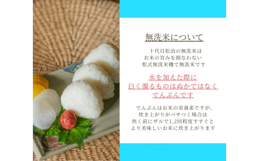  【新米予約】 コシヒカリ きぬむすめ 食べ比べ 無洗米 各5kg 計10kg   ( 令和6年産 先行予約 新米 無洗米 5kg 10kg 2品種 お米 おこめ ごはん 米 特別栽培米 ブランド米 ライス こだわり米 ギフト 国産 縁起の竜王米 滋賀県竜王町 )