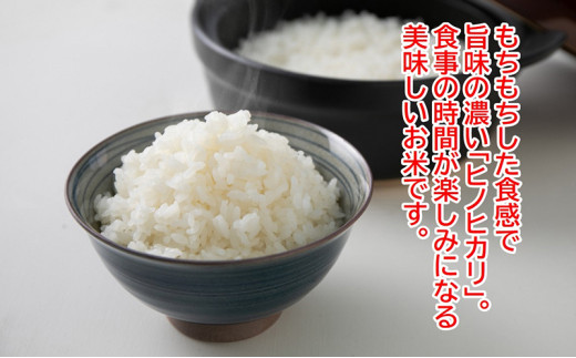 農林水産省の「つなぐ棚田遺産」に選ばれた棚田で育てられた 棚田米土佐天空の郷　5kg食べくらべセット定期便 毎月お届け 全3回