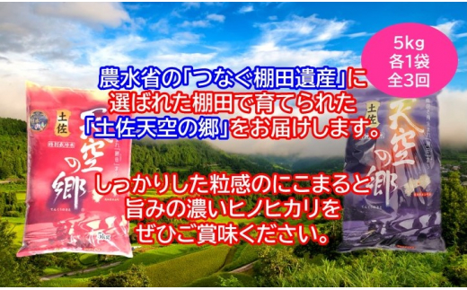 農林水産省の「つなぐ棚田遺産」に選ばれた棚田で育てられた 棚田米土佐天空の郷　5kg食べくらべセット定期便 毎月お届け 全3回