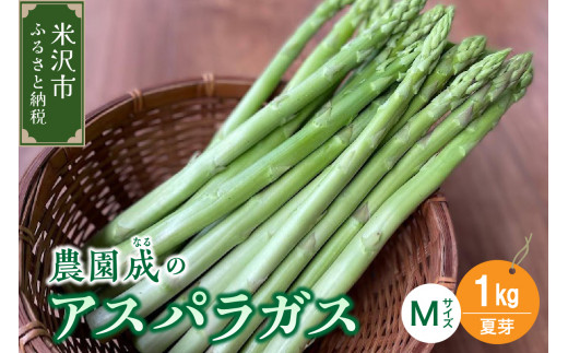 【 令和6年産 夏芽 】 アスパラガス M 1kg （ 細物 M以下 ）〔 2024年 7月中旬頃 ～ 発送予定 〕 アスパラ 野菜 農園成 産地直送 農家直送 2024年産