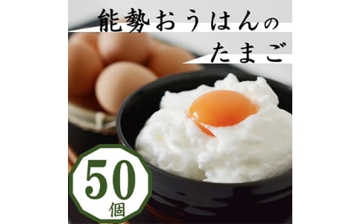 卵がけごはんにおすすめ!健康第一で育てられた希少なブランド鶏の地玉子50個【1033861】