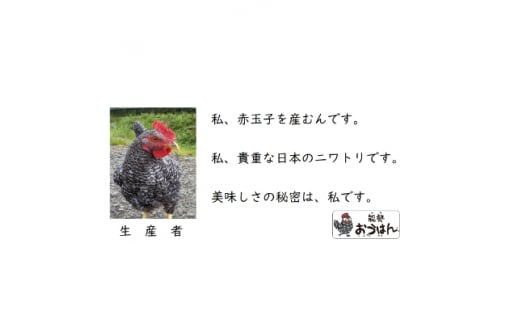 卵がけごはんにおすすめ!健康第一で育てられた希少なブランド鶏の地玉子50個【1033861】