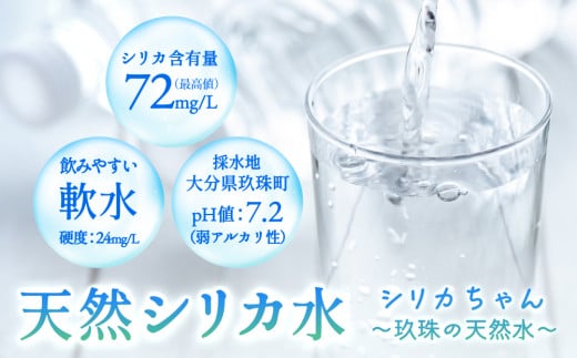 [定期便 6ヶ月] 天然 シリカ 水 525ml × 40本 ＜シリカちゃん〜玖珠の天然水〜＞ ラベルレス 天然水 シリカ水 ミネラルウォーター 国産