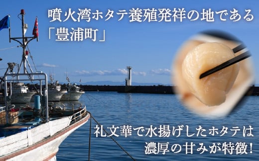 ホタテ 北海道 豊浦 噴火湾 礼文華 約500g 帆立 貝柱 2年貝 【ふるさと納税 人気 おすすめ ランキング 魚介類 貝 ほたて 帆立 ホタテ 帆立貝柱 礼文華 玉冷 刺身 大粒 肉厚おいしい 美味しい 甘い 北海道 豊浦町 送料無料】 TYUAD002