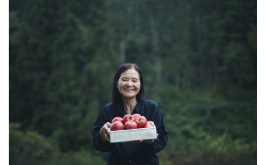 トマト 加工 ジュース「赤の元気（12本セット）※秋穫れ白ラベル」｜朝食 野菜 ドリンク 無添加 健康 ギフト 贈答用 毎日 家庭用　家族 愛媛 久万高原町
※離島への配送不可