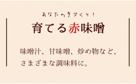 無添加 育てる紅白味噌セット【 国産 調味料 セット 味噌 みそ 手作り 手作り味噌 味噌づくり キット 発酵食品 贈答 贈り物 プレゼント ギフト 無農薬 京都 綾部 】