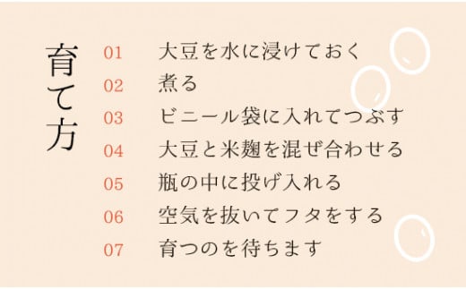 無添加 育てる紅白味噌セット【 国産 調味料 セット 味噌 みそ 手作り 手作り味噌 味噌づくり キット 発酵食品 贈答 贈り物 プレゼント ギフト 無農薬 京都 綾部 】