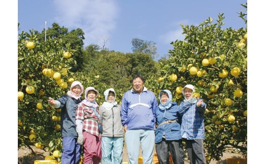 【先行予約】＜訳あり＞早川農園の土佐文旦（５kg） 柑橘 フルーツ みかん ザボン ぶんたん ブンタン 果実 果物 くだもの フルーツ デザート 柑橘類 おやつ わけあり 家庭用 【R00131】